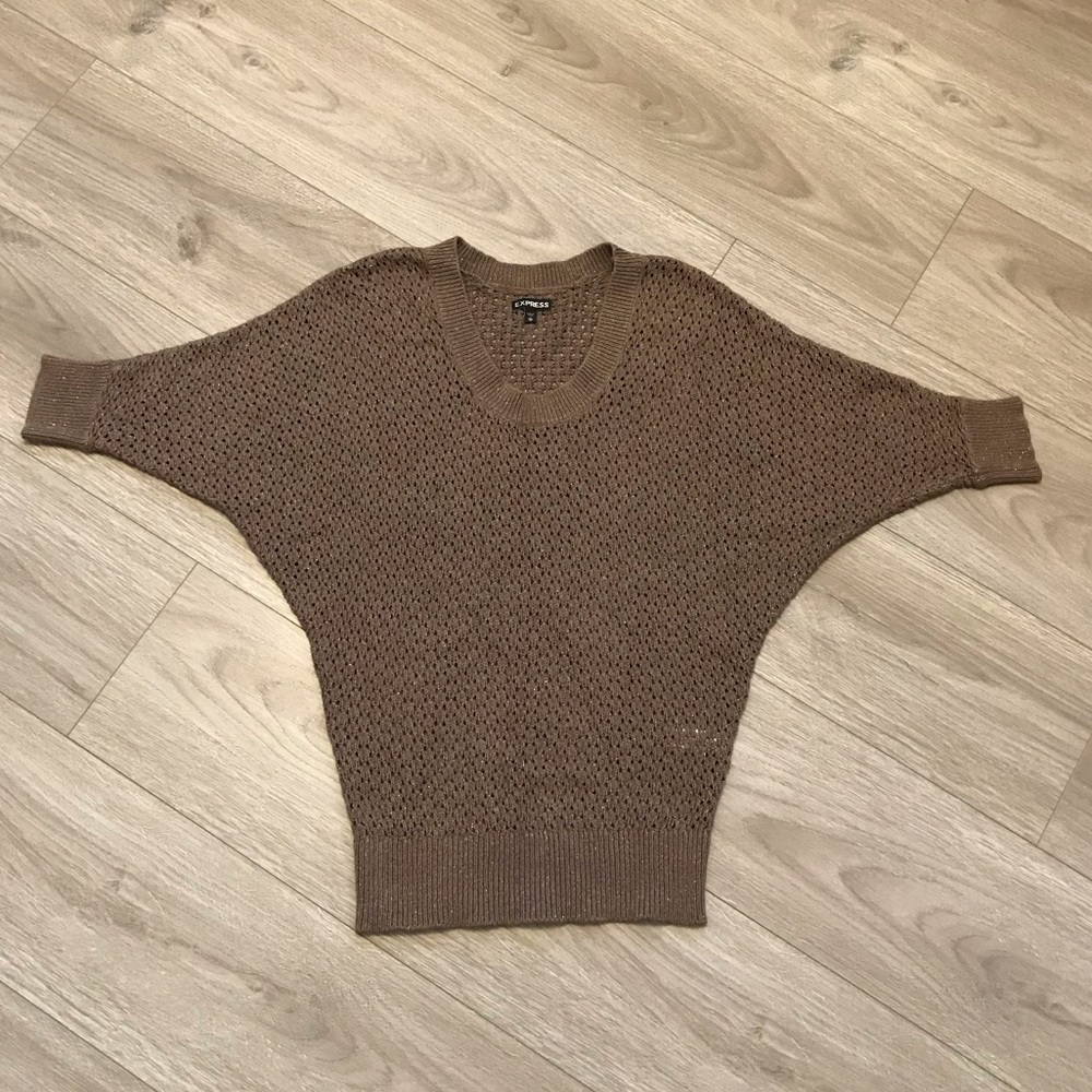 Express Brown/Gold Sparkly Oversized Knit Shirt
